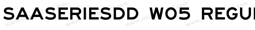 SaaSeriesDD W05 Regular字体转换